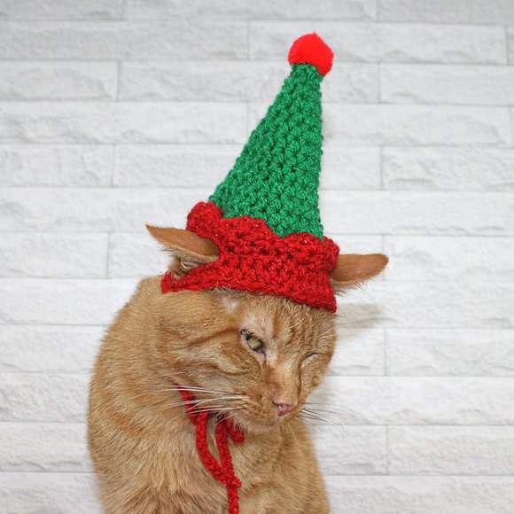 HAND CRAFTED Crochet Elf Cat Hat Costume Photo Prop Green Christmas Holiday - Picture 2 of 11